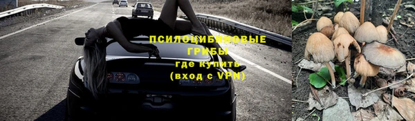 стафф Алексин