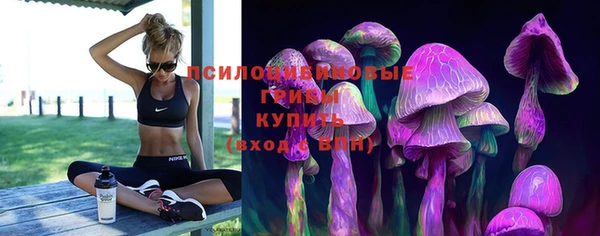 МДПВ Алексеевка